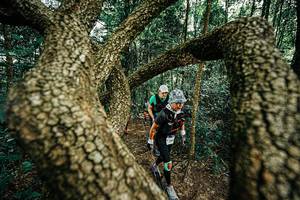 BIB: 
                            <button type="button" onclick="openModal(25393156)" class="btn btn-primary btn-sm float-right btn-popup" data-toggle="modal" data-target=".modal-high-quality">
                        <i class="fas fa-shopping-cart"></i> Add to Cart
                    </button>
                                            <button type="button" onclick="isThisMe(25393156, true)" class="btn btn-success btn-sm float-right btn-popup btn-isme hidden" data-toggle="tooltip" data-placement="bottom" title="นี่คือรูปของคุณใช่ไหม คลิกที่นี่เพื่อเอาเข้าอัลบั้ม">
                        <i class="fas fa-plus"></i> Add to album
                    </button>
                    <button type="button" onclick="isThisMe(25393156, false)" class="btn btn-warning btn-sm float-right btn-popup btn-isnotme hidden">
                        <i class="fas fa-ban"></i> Remove from album
                    </button>